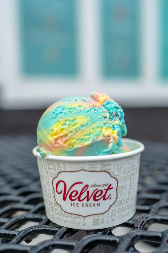 REGULAR Hand-Dipped Ice Cream